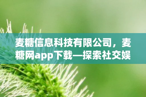 麦糖信息科技有限公司,麦糖网app下载—探索社交娱乐的新领域 麦糖信息科技有限公司,麦糖网app下载—探索社交娱乐的新领域