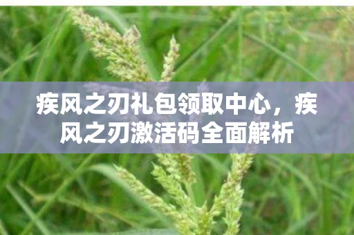 疾风之刃礼包领取中心,疾风之刃激活码全面解析 疾风之刃礼包领取中心,疾风之刃激活码全面解析