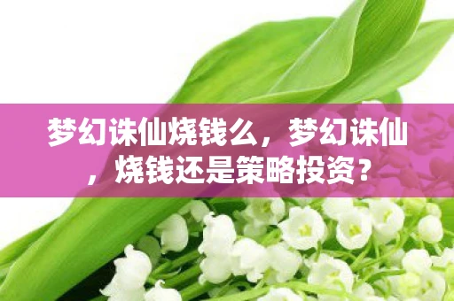 梦幻诛仙烧钱么，梦幻诛仙，烧钱还是策略投资？