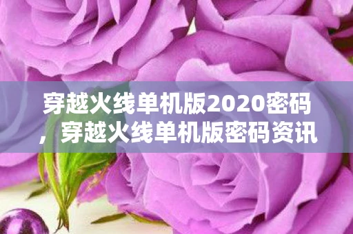 穿越火线单机版2020密码，穿越火线单机版密码资讯频道—游戏秘籍与攻略全解析