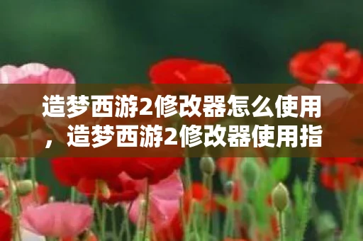 造梦西游2修改器怎么使用，造梦西游2修改器使用指南，提升游戏体验，谨慎操作是关键