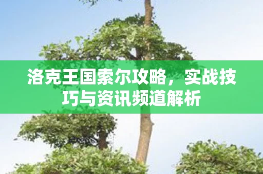 实战技巧与资讯频道解析图片