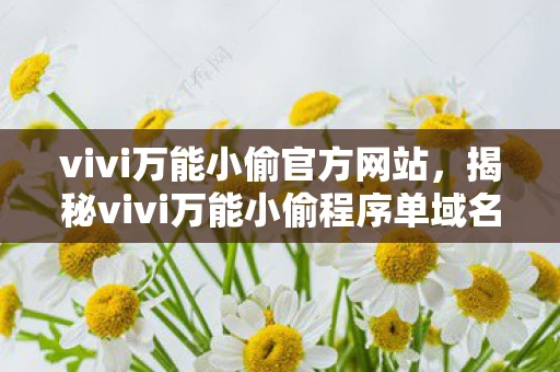 vivi万能小偷官方网站，揭秘vivi万能小偷程序单域名版，真相与风险并存