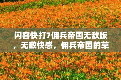 闪客快打7佣兵帝国无敌版，无敌快感，佣兵帝国的荣耀与挑战