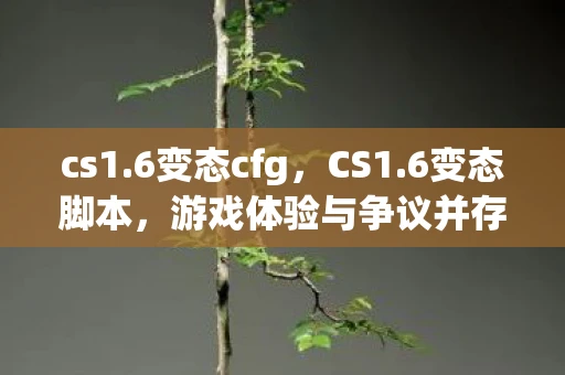 cs1.6变态cfg,CS1.6变态脚本,游戏体验与争议并存 cs1.6变态cfg,CS1.6变态脚本,游戏体验与争议并存