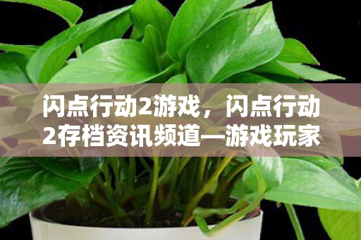 闪点行动2游戏，闪点行动2存档资讯频道—游戏玩家的数据宝库