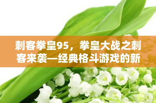 刺客拳皇95,拳皇大战之刺客来袭—经典格斗游戏的新篇章 刺客拳皇95,拳皇大战之刺客来袭—经典格斗游戏的新篇章