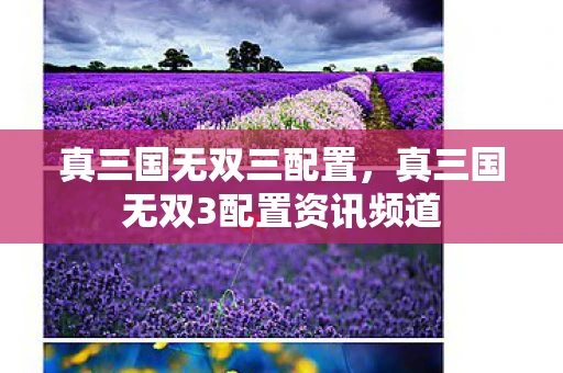 真三国无双三配置，真三国无双3配置资讯频道