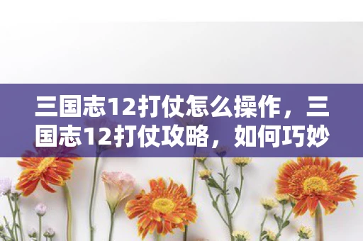 三国志12打仗怎么操作，三国志12打仗攻略，如何巧妙征战沙场