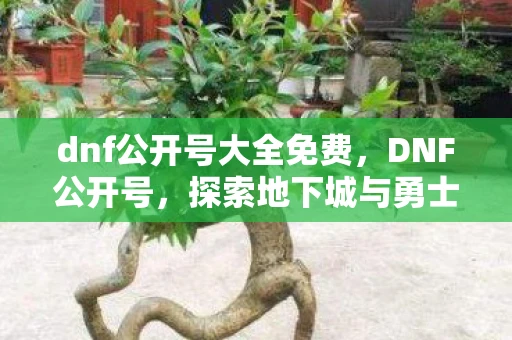 dnf公开号大全免费，DNF公开号，探索地下城与勇士的魅力与挑战