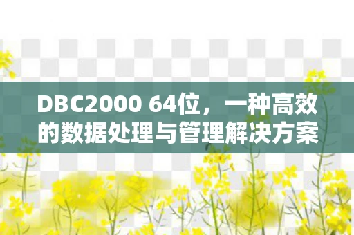 DBC2000 64位，一种高效的数据处理与管理解决方案