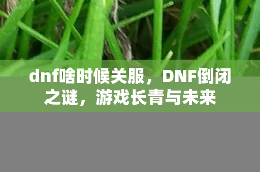 dnf啥时候关服,DNF倒闭之谜,游戏长青与未来 dnf啥时候关服,DNF倒闭之谜,游戏长青与未来
