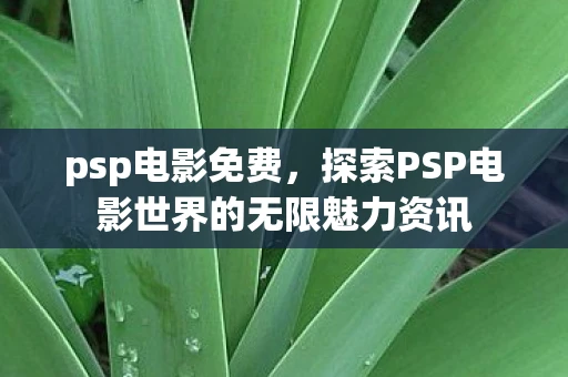 psp电影免费，探索PSP电影世界的无限魅力资讯