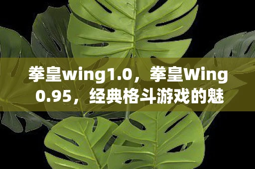拳皇wing1.0，拳皇Wing 0.95，经典格斗游戏的魅力再现
