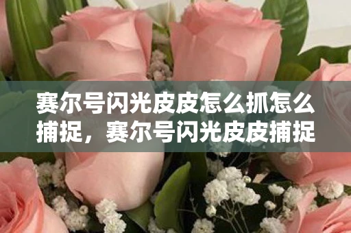 赛尔号闪光皮皮怎么抓怎么捕捉,赛尔号闪光皮皮捕捉全攻略,详解出现时间与技巧 赛尔号闪光皮皮怎么抓怎么捕捉,赛尔号闪光皮皮捕捉全攻略,详解出现时间与技巧