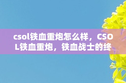 csol铁血重炮怎么样，CSOL铁血重炮，铁血战士的终极武器—手炮的威力和战略应用