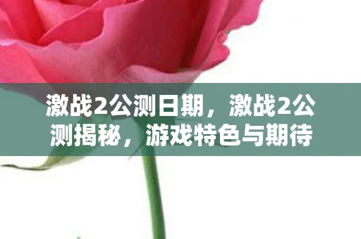 激战2公测日期，激战2公测揭秘，游戏特色与期待