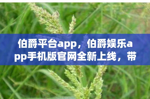 伯爵平台app，伯爵娱乐app手机版官网全新上线，带你探索娱乐新境界！