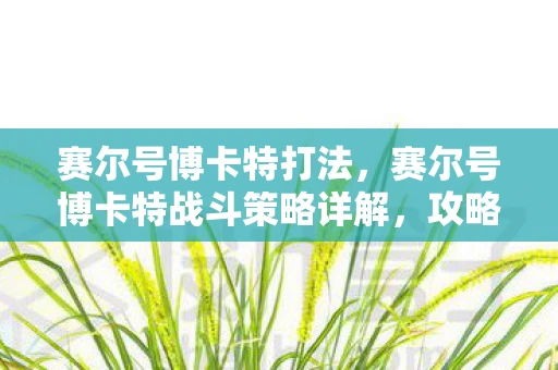 赛尔号博卡特打法，赛尔号博卡特战斗策略详解，攻略与技巧分享
