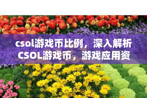 csol游戏币比例，深入解析CSOL游戏币，游戏应用资讯全掌握