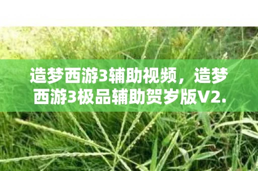 造梦西游3辅助视频，造梦西游3极品辅助贺岁版V2.51，全新体验，助力你的西游之旅