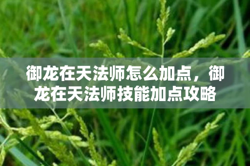 御龙在天法师怎么加点,御龙在天法师技能加点攻略 御龙在天法师怎么加点,御龙在天法师技能加点攻略