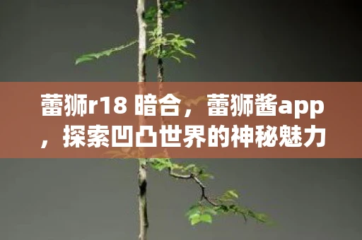 蕾狮r18 暗合，蕾狮酱app，探索凹凸世界的神秘魅力