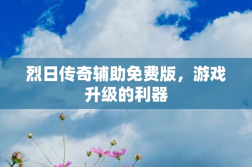 烈日传奇辅助免费版图片