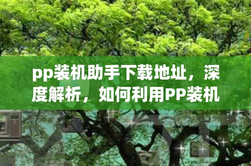 pp装机助手下载地址，深度解析，如何利用PP装机助手电脑版进行系统重装