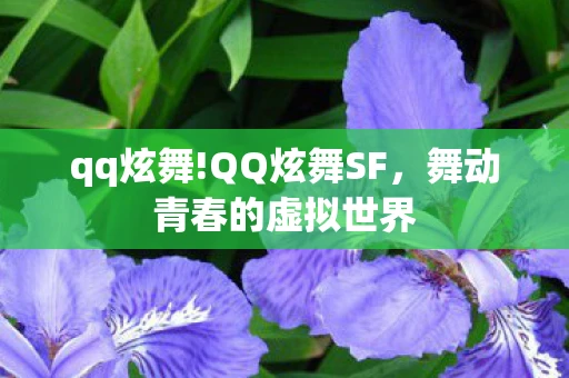 qq炫舞!QQ炫舞SF，舞动青春的虚拟世界