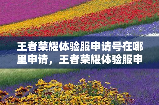 王者荣耀体验服申请号在哪里申请,王者荣耀体验服申请指南与游戏深度探索 王者荣耀体验服申请号在哪里申请,王者荣耀体验服申请指南与游戏深度探索