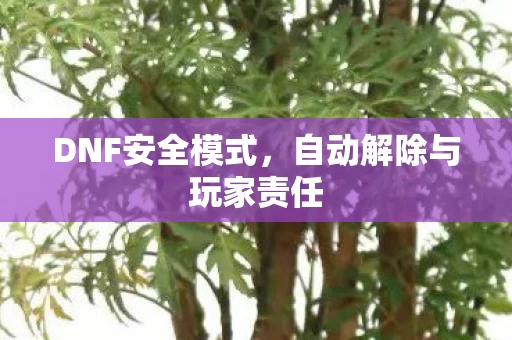 自动解除与玩家责任图片
