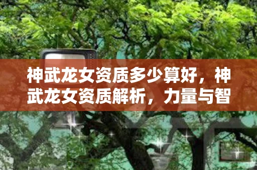 神武龙女资质多少算好,神武龙女资质解析,力量与智慧的完美结合 神武龙女资质多少算好,神武龙女资质解析,力量与智慧的完美结合