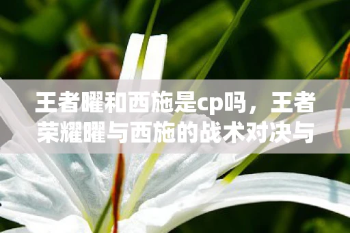 王者曜和西施是cp吗，王者荣耀曜与西施的战术对决与情感纠葛