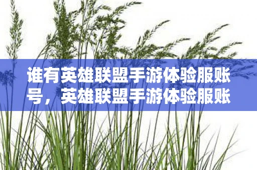 谁有英雄联盟手游体验服账号，英雄联盟手游体验服账号权限不足问题解析与解决方案