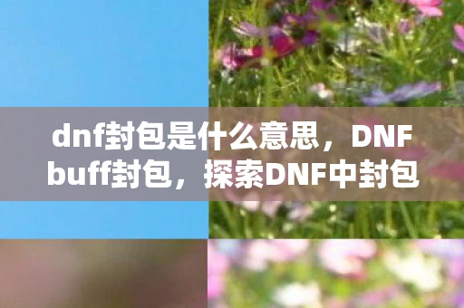 dnf封包是什么意思，DNFbuff封包，探索DNF中封包与Buff的奇妙结合