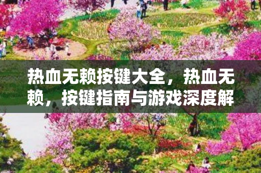 热血无赖按键大全，热血无赖，按键指南与游戏深度解析
