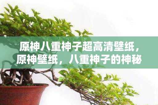 原神八重神子超高清壁纸，原神壁纸，八重神子的神秘魅力