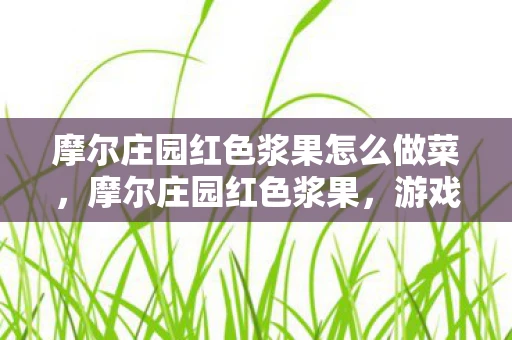 摩尔庄园红色浆果怎么做菜，摩尔庄园红色浆果，游戏中的珍稀宝藏
