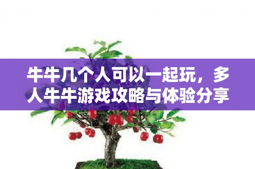 牛牛几个人可以一起玩,多人牛牛游戏攻略与体验分享,探索V4.3.2版本的新特性与魅力 牛牛几个人可以一起玩,多人牛牛游戏攻略与体验分享,探索V4.3.2版本的新特性与魅力