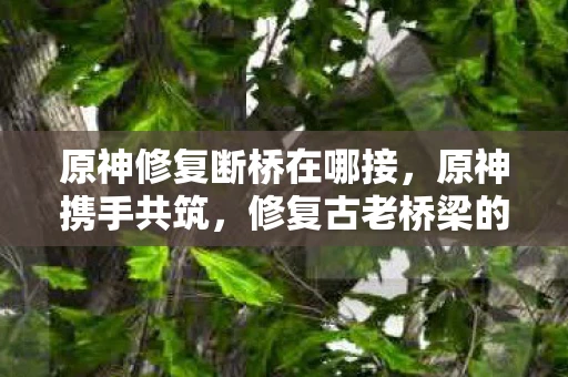 原神修复断桥在哪接，原神携手共筑，修复古老桥梁的奇幻之旅