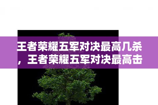 王者荣耀五军对决最高几杀,王者荣耀五军对决最高击杀,荣誉与财富的双重追求 王者荣耀五军对决最高几杀,王者荣耀五军对决最高击杀,荣誉与财富的双重追求