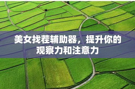 美女找茬辅助器,提升你的观察力和注意力 美女找茬辅助器,提升你的观察力和注意力