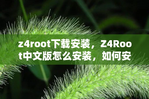 z4root下载安装,Z4Root中文版怎么安装,如何安装并使用Z4Root中文版 z4root下载安装,Z4Root中文版怎么安装,如何安装并使用Z4Root中文版
