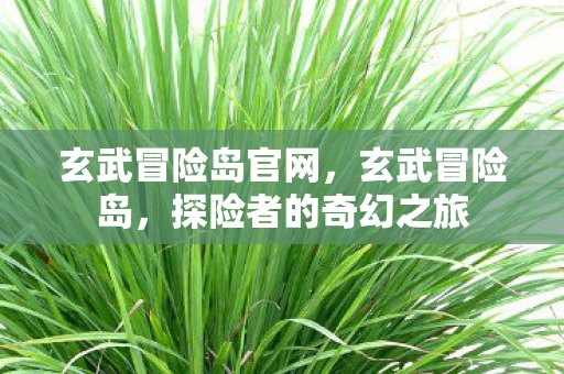 玄武冒险岛官网，玄武冒险岛，探险者的奇幻之旅