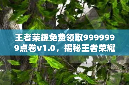 王者荣耀免费领取9999999点卷v1.0，揭秘王者荣耀免费领取点卷的秘密，轻松成为游戏霸主，你真的会玩吗？