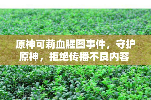 原神可莉血腥图事件，守护原神，拒绝传播不良内容 可莉角色争议图探讨