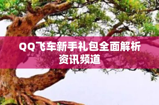 QQ飞车新手礼包全面解析资讯频道图片