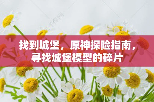 找到城堡，原神探险指南，寻找城堡模型的碎片