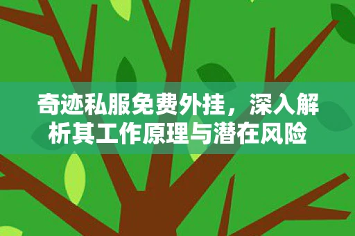 奇迹私服免费外挂，深入解析其工作原理与潜在风险